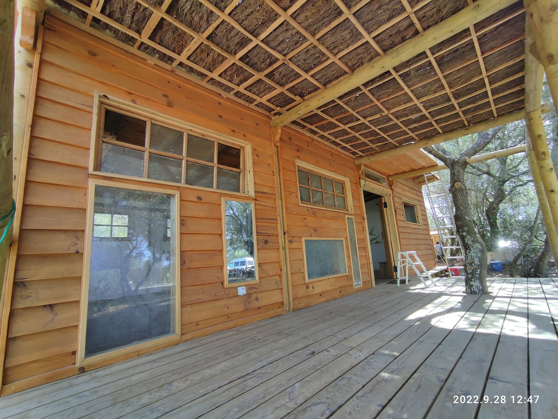 Taller Ecobosque — imagen 5