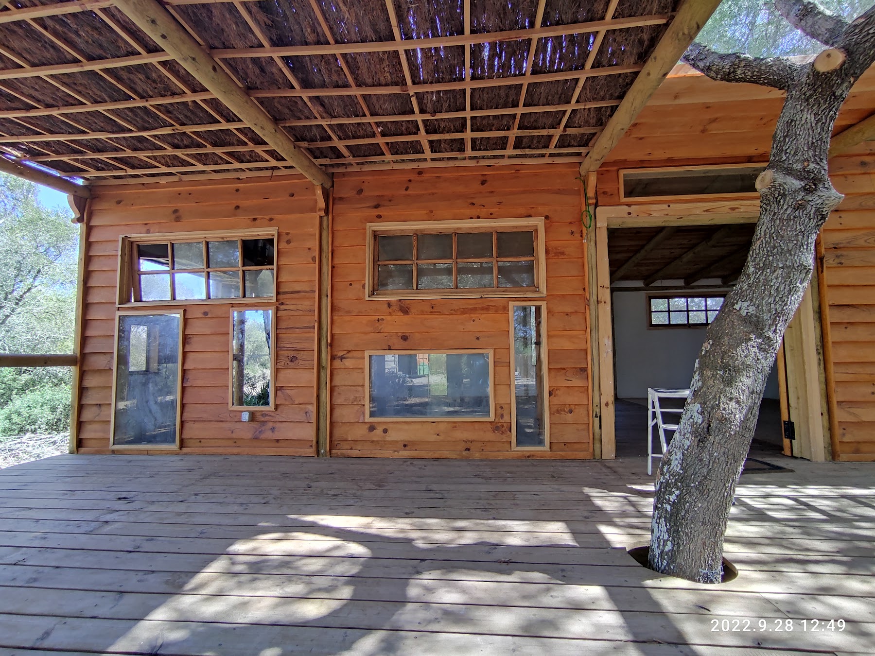 Taller Ecobosque — imagen 3