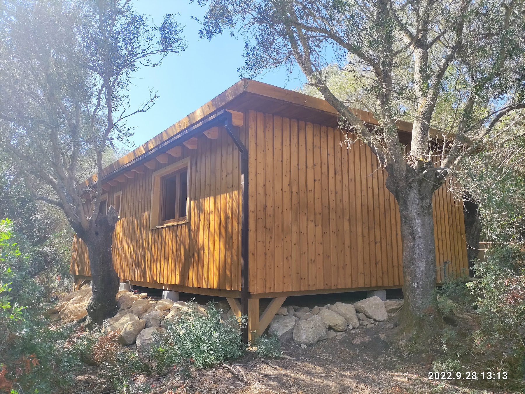 Taller Ecobosque — imagen 6