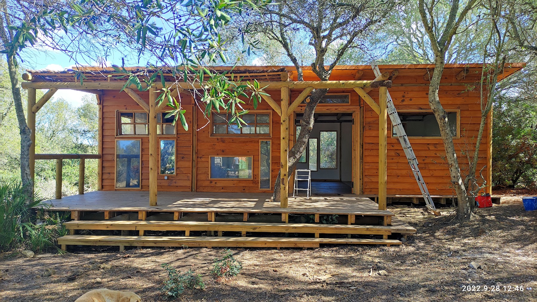 Taller Ecobosque — imagen 2